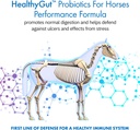 healthygutTM-probiotics-for-horses-dieta-3.jpg