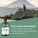 vimergy-nettle-superfood-for-healthy-cel-2.jpg