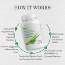 aloecure-organic-aloe-vera-capsules-1300-3.jpg