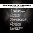 pmd-sports-cr5-professional-creatine-com-5.jpg