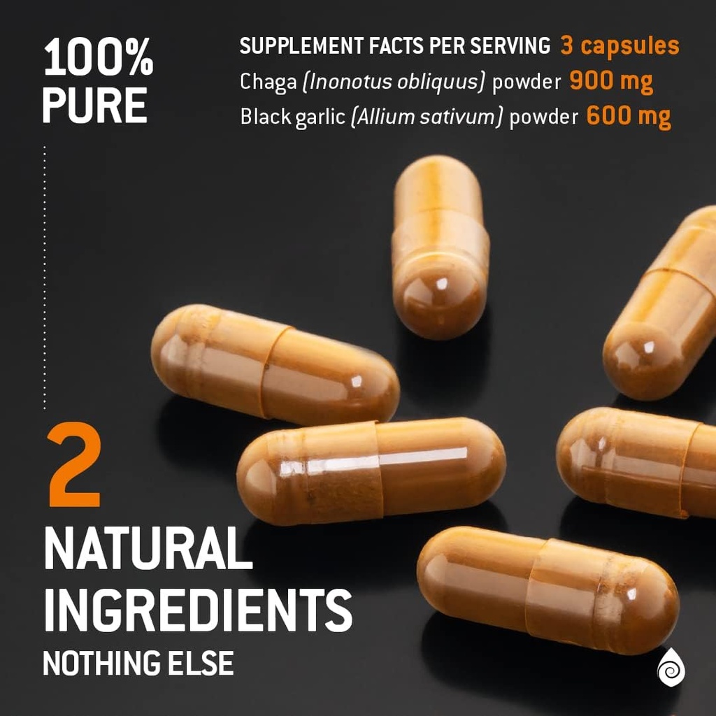 100-real-wild-chaga-mushroom-aged-black--4.jpg