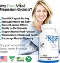 plantvital-magnesium-glycinate-200mg-120-3.jpg