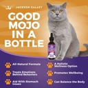 jackson-galaxy-happy-tummy-2-oz---pet-so-3.jpg
