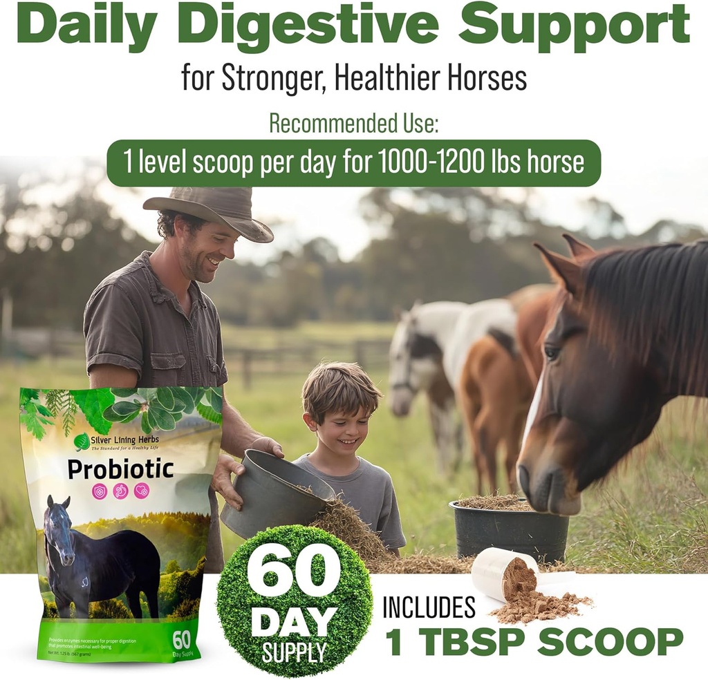 silver-lining-herbs-horse-probiotics-dig-5.jpg