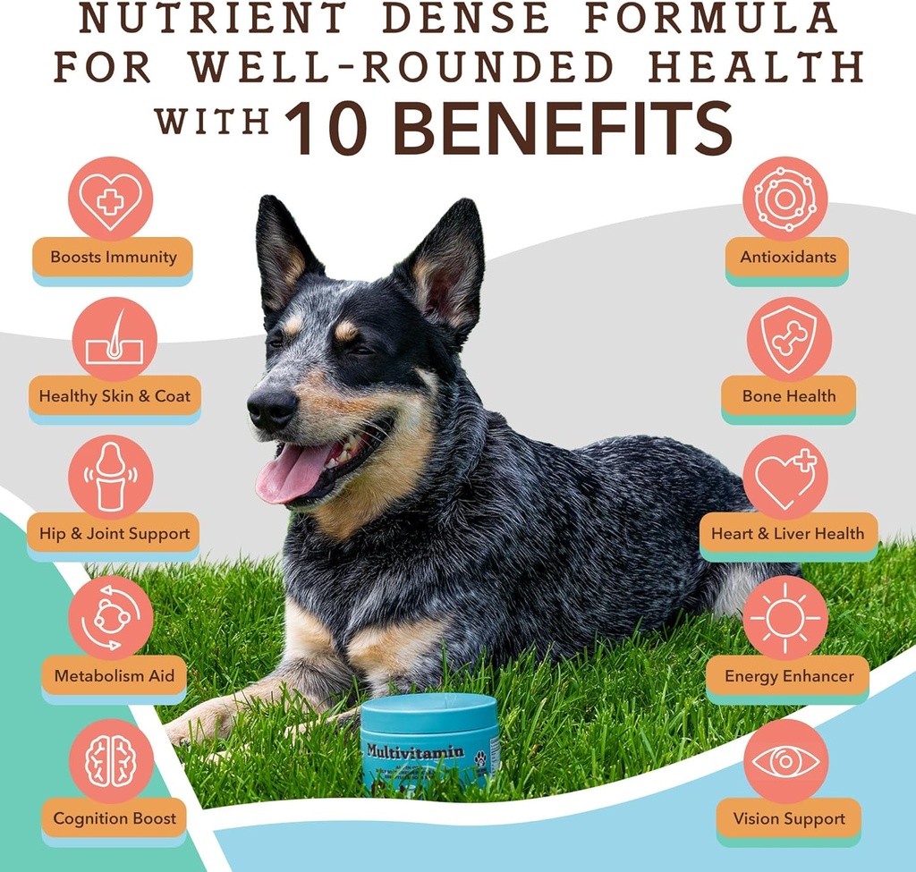 natural-dog-company-dog-supplements-for--4.jpg