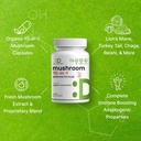 organic-10-in-1-mushroom-supplement-240--4.jpg