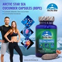 arctic-star---sea-cucumber-capsules---na-5.jpg