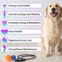 15-in-1-dog-multivitamin-drops-dog-multi-6.jpg