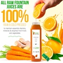 5-day-juice-cleanse-by-raw-fountain-trop-4.jpg