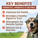 probiotics-for-dogs---hot-spot-remedy-fo-2.jpg
