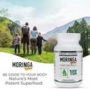 moringa-leaf-gold-extract-10x---vitamin--5.jpg