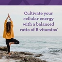 innate-response-formulas-b-complex---b-v-3.jpg