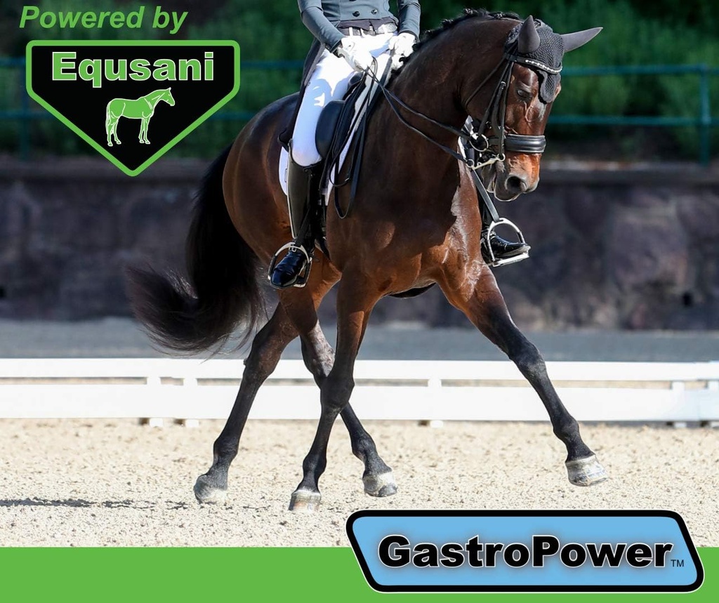 equsani-gastropower-digestible-free-fatt-4.jpg