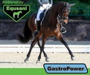 equsani-gastropower-digestible-free-fatt-4.jpg