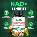 satoomi-nad-supplement-for-women---nad-n-5.jpg