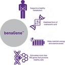 aor-benagene-supports-healthy-aging-ener-3.jpg