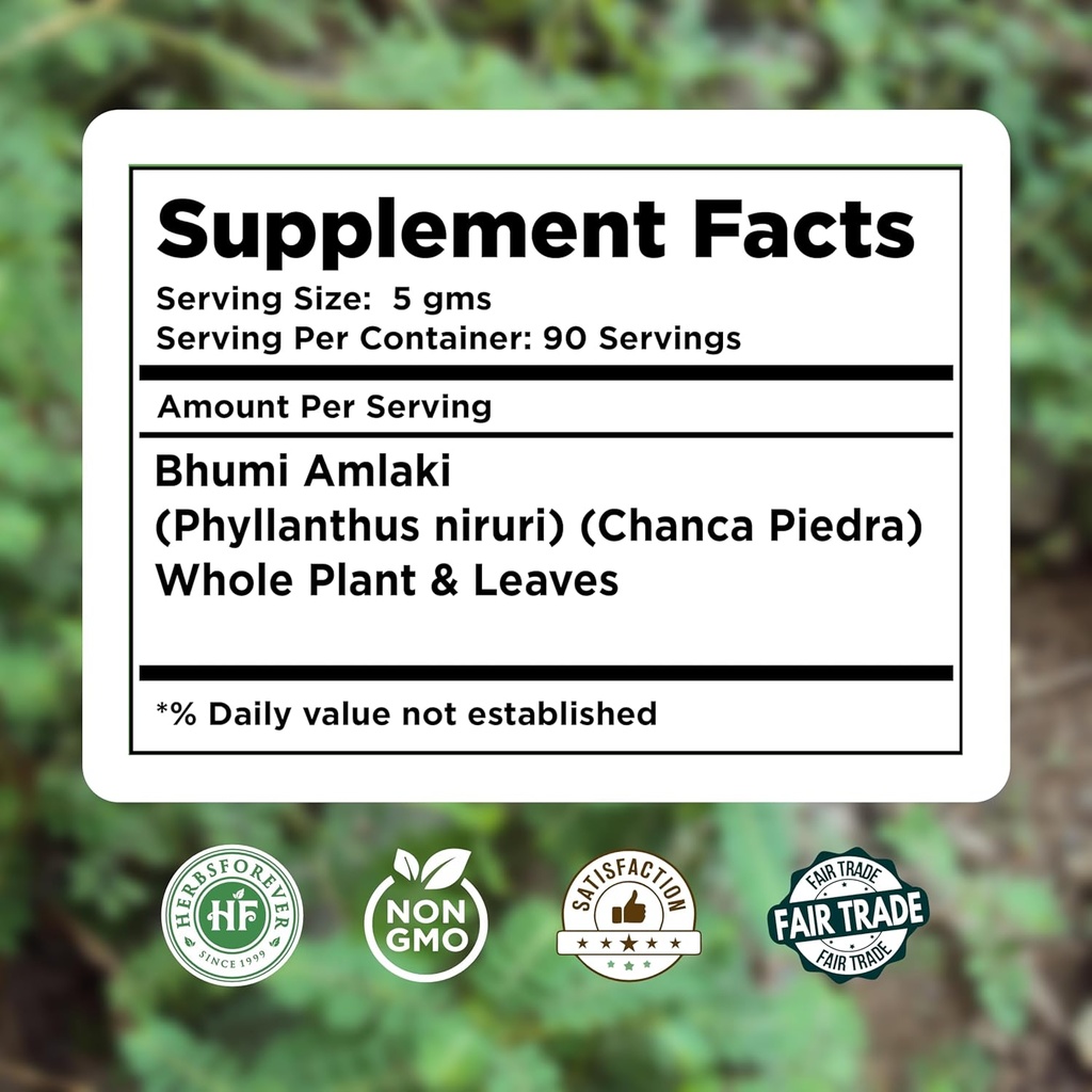 herbsforever-bhumi-amalaki-powder-phylla-4.jpg