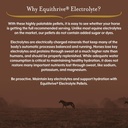 equithrive-horse-electrolyte-pellets-vit-2.jpg