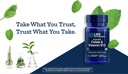 life-extension-bioactive-folate-vitamin--6.jpg