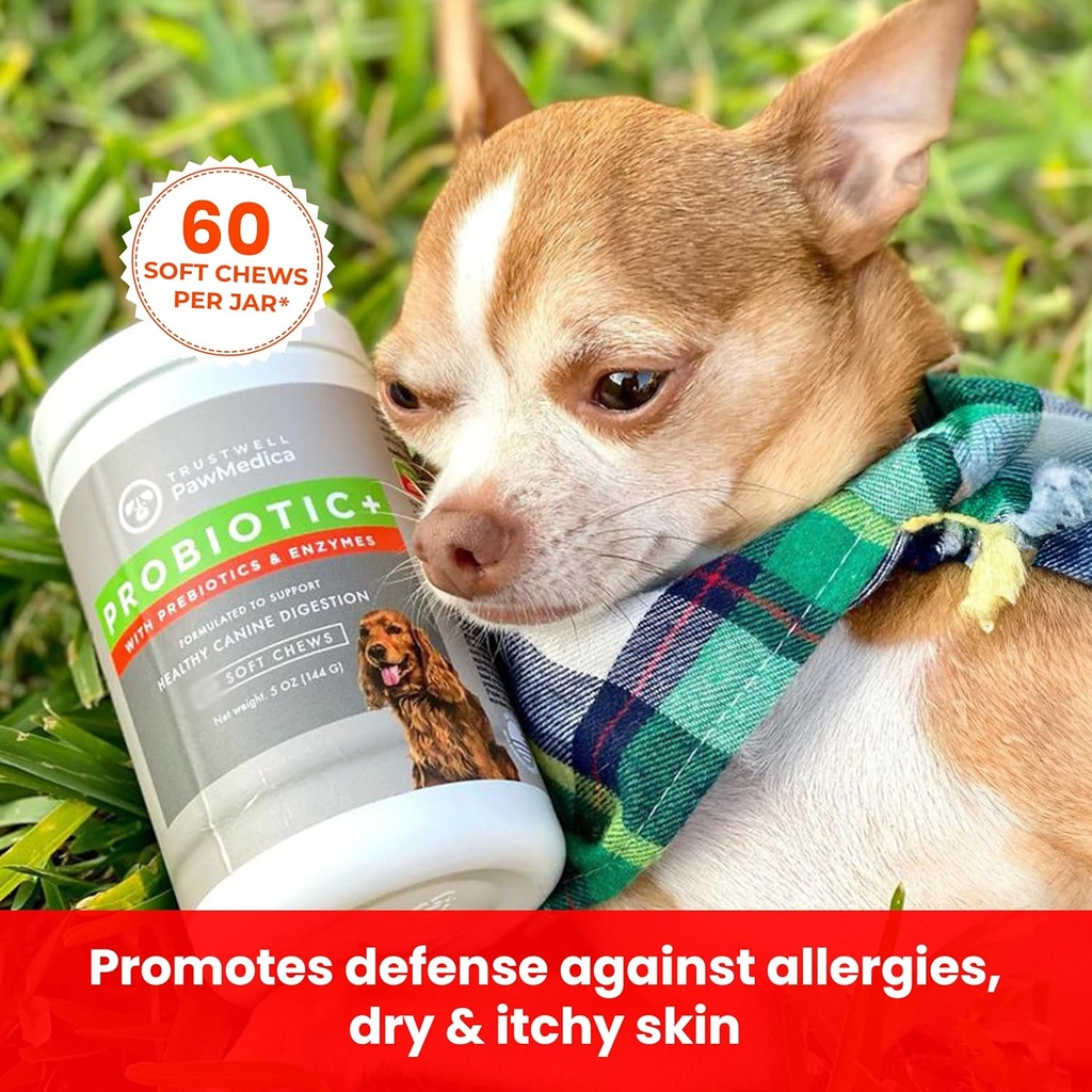 pawmedica-dog-probiotics-and-digestive-e-3.jpg