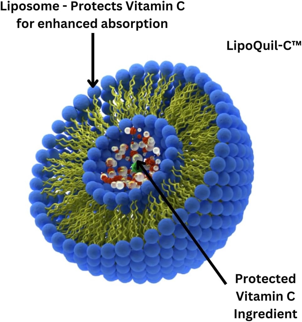 research-labs-liposomal-vitamin-c-supple-2.jpg