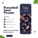 yogis-herbs-poonaikali-seed-powder-kapik-2.jpg