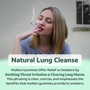 2-pack-mullein-gummies-for-lungs-mullein-4.jpg