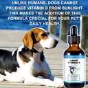 vitamin-d-for-dogs-liquid-d-for-dogs-dog-5.jpg