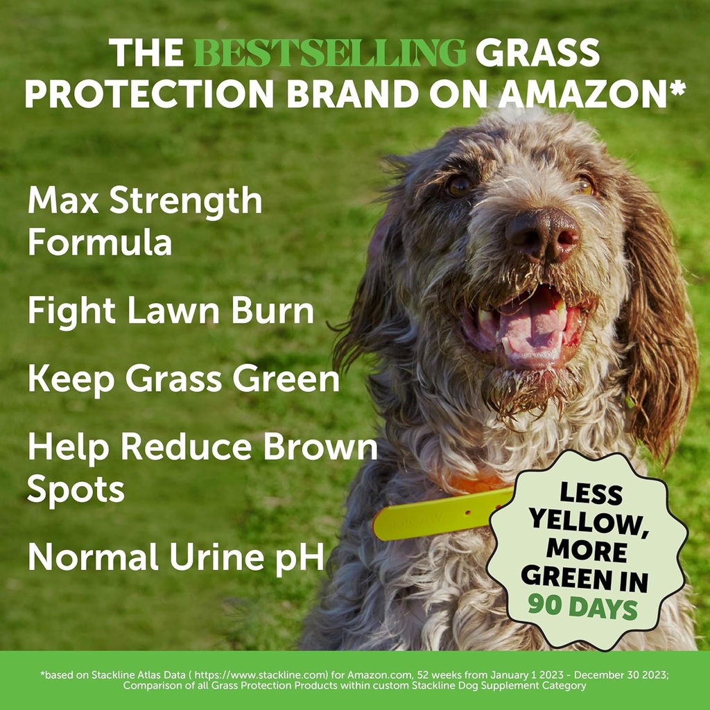 grass-green-max-strength-chews-for-dogs--2.jpg