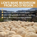 lions-mane-mushroom-powder-real-fruiting-3.jpg