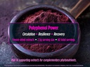 biotest-superfood---berry-dense-polyphen-6.jpg