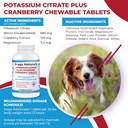 potassium-citrate-plus-cranberry-with-ma-2.jpg