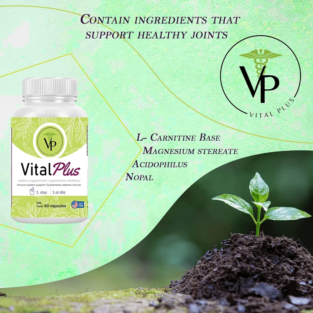 vital-plus---treatment-for-varicose-vein-6.jpg