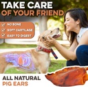 brutus-barnaby-whole-pig-ears-for-dogs-1-5.jpg