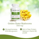 real-mushrooms-ergothioneine-supplement--6.jpg