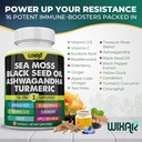 wixar-sea-moss-3000mg-black-seed-oil-200-4.jpg