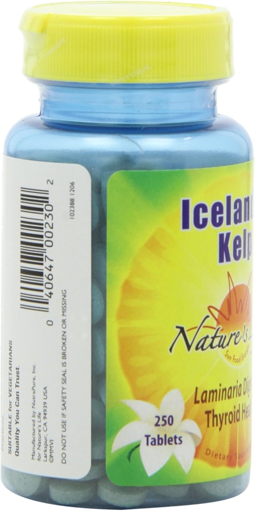 natures-life-kelp-icelandic-41-mg-lamina-6.jpg