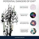 5g-emf-defense---endocrine-disruptor-cle-3.jpg