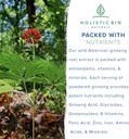 holistic-bin-wild-american-ginseng-powde-4.jpg