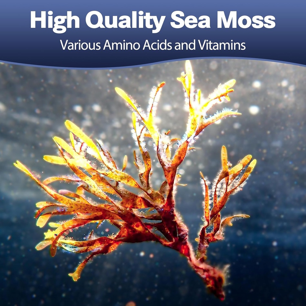 25-in-1-sea-moss-capsules-120-capsules-p-3.jpg