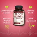 blood-pressure-health---helps-support-bl-4.jpg