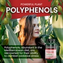 polyphenols-potent-blend-of-fruit-based--5.jpg