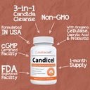 nutracraft-candicel-1-intestinal-flora-s-5.jpg