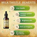 milk-thistle-liver-detox-all-natural-sil-4.jpg