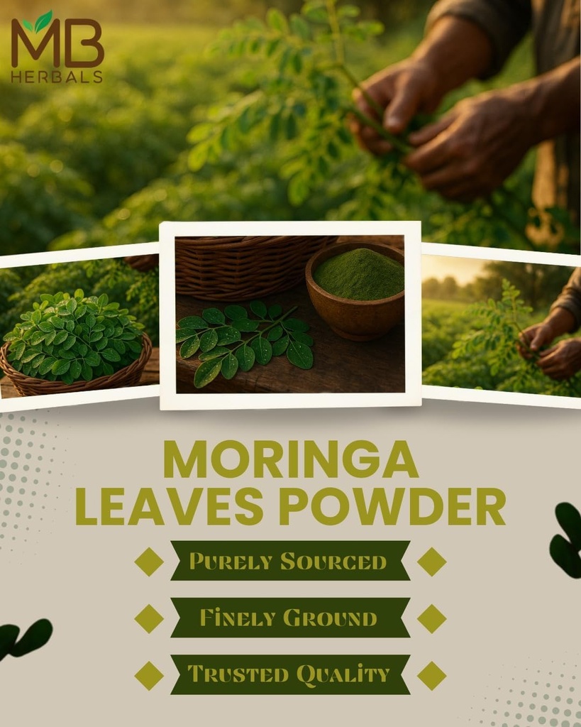 mb-herbals-moringa-leaf-powder-1-lb-16-o-4.jpg