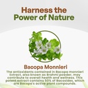 go-nutra-bacopa-extract-powder-bacopa-mo-3.jpg