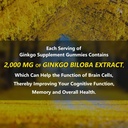 2-packs-2000mg-ginkgo-biloba-gummies---g-3.jpg