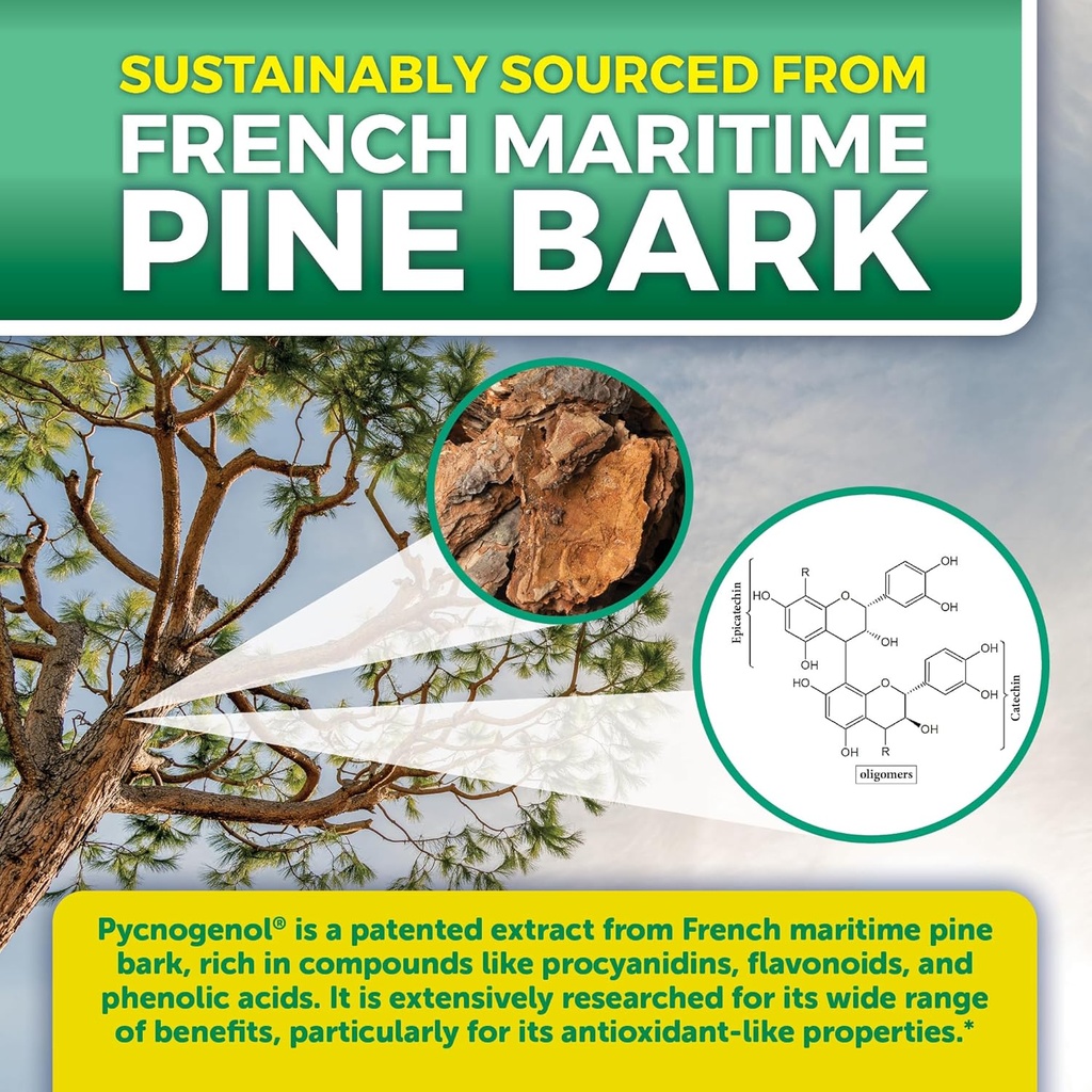 viva-naturals-pycnogenol---100mg-french--2.jpg
