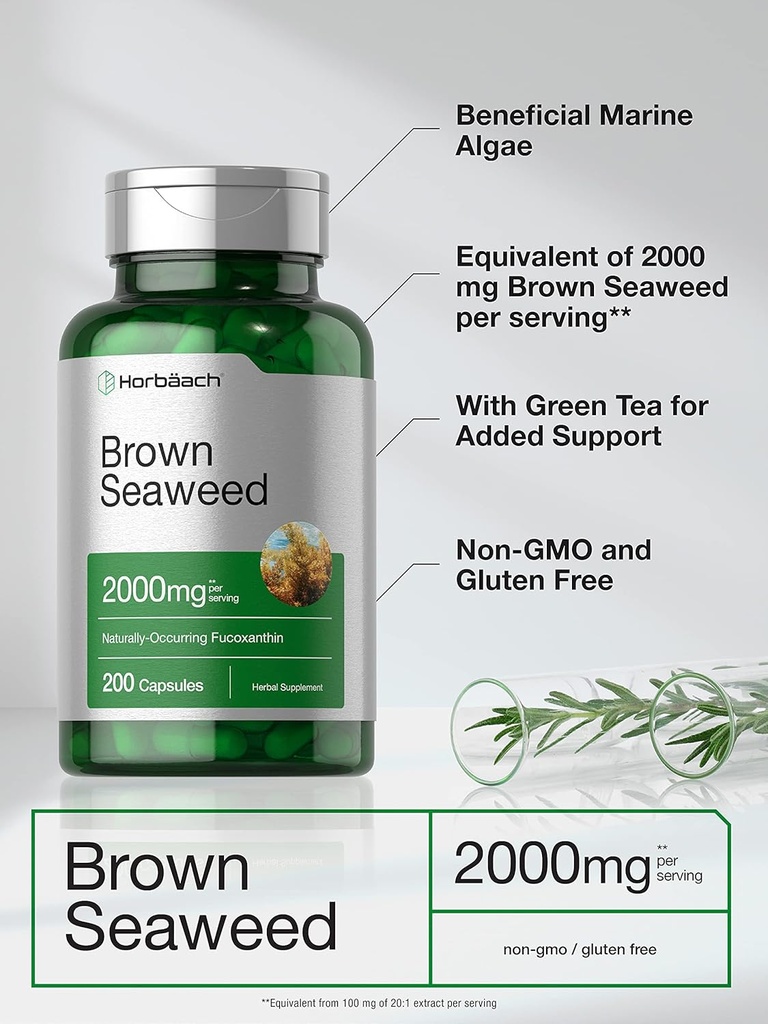 horbaach-brown-seaweed-extract-capsules--3.jpg