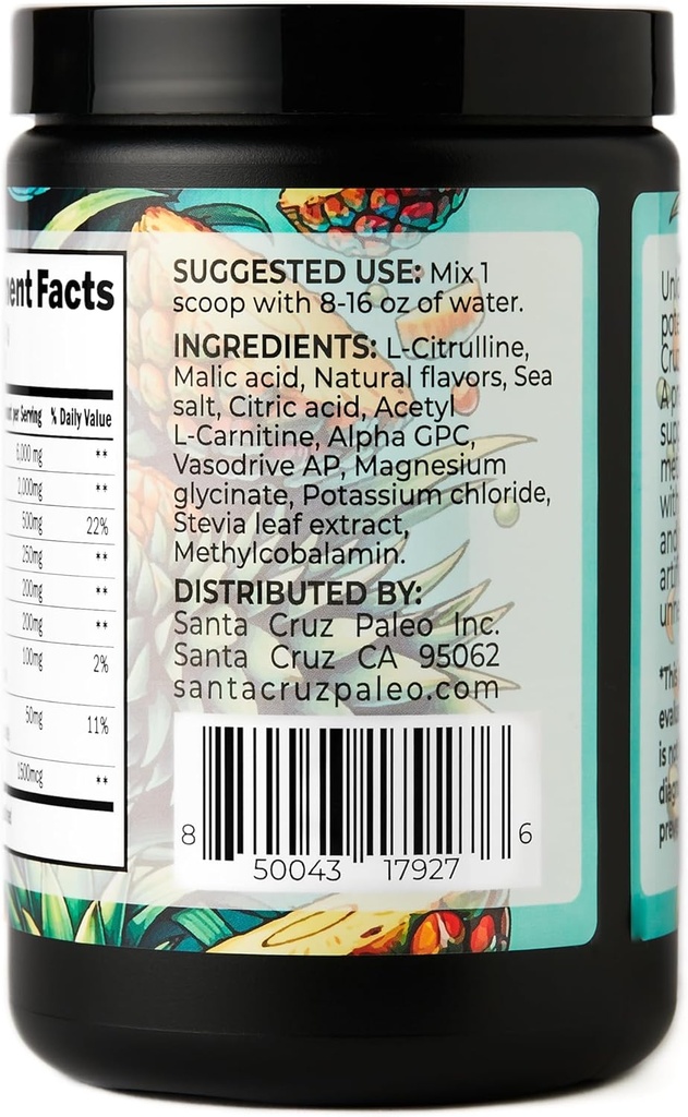 santa-cruz-paleo-pre-workout-powder-elec-6.jpg